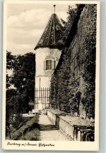 86633 W8858 Neuburg a d Donau Foto AK Hofgarten Stoja-Verlag