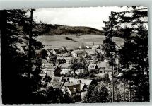 29614 W3040 Willingen Foto AK