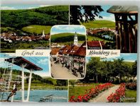 63933 W8761 Mönchberg , Spessart Foto AK Schwimmbad Blumengarten Traumblick