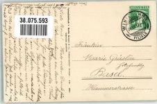 Rose Martin Rommel u. Co. 610 Rommel 1910