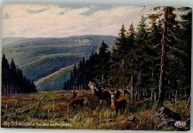 O6054 Schmücke No. 3097 Röhrender Hirsch auf der Schmücke Wiro Künstlerkarte