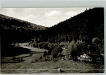 29614 W3040 Willingen Foto AK Hermeketal Kuh