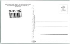 29614 W3040 Willingen Foto AK Hermeketal Kuh