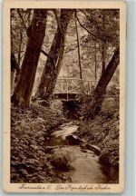 16259 O1310 Bad Freienwalde 1925 - Papenbach am Kurhaus