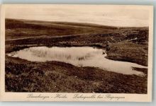29646 W3045 Bispingen Foto AK Luhequelle Lüneburger heide