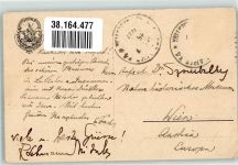 La Plata Diveres Gürteltiere Tierpräparate Exotisches Tier 1927 Gebrauchsspuren