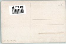 Fasane auf einer Wiese T.S.N. Serie 1796 Schönian, A. Künstlerkarte