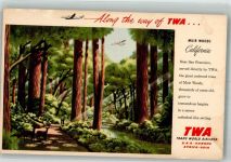San Francisco Überfliegt die Mamutbäume TWA