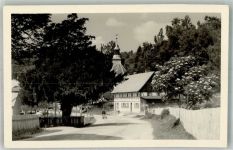 02797 O8801 Luftkurort Lückendorf Foto AK Dorfkirche und 1500jährige Eibe