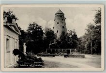 39218 O3300 Bad Salzelmen Schönebeck Elbe - Rosarium