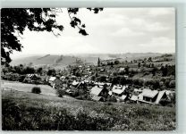 07343 O6860 Wurzbach - Blumenwiese