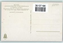 65385 W6220 Niederwald , Jagdschloß - Hotel Jagdschloss Niederwald Gesellschaftshalle Bild Geweih
