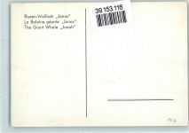 Riesen Walfisch Jonas AK Wal