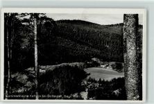94239 W8375 Gotteszell