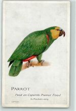 Parrot Feed on Caperns Parrot Food Werbung Papagei