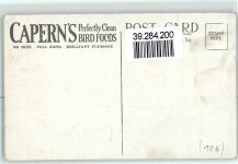 Parrot Feed on Caperns Parrot Food Werbung Papagei
