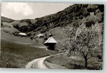 79677 W7869 Aitern Foto AK Rollsbach Schönau Schwarzwald Kapelle Baum Blüte