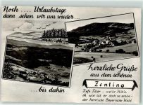 94579 W8359 Zenting