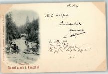 76596 W7564 Raumünzach 1898 - Wasserfall