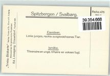 Svalbard Spitzbergen - Trinks Bildkarte Reihe 476 Bild 11 Eismöven