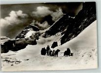 Polarhunde Jungfraujoch Hundeschlitten Foto AK