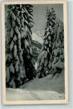 Winteridyllen Nr.13 Elchlepp 1920