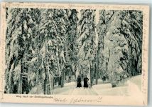Brückenberg Karpacz Gorny Foto AK Weg nach der Schlingelbaude Winter Ort lt. Stempel