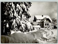 72250 W7290 Zwieselberg , Württ - Winter Hotel Tannenhof