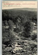 Bad Schwarzbach Czerniawa Zdroj 1911