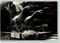 O8601 Kleinwelka Struthiomius Straußnachahmer Kreide Gestalter Franz Gruß Foto Sieber Dinosaurier