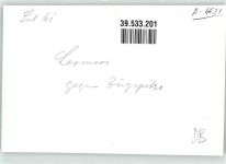 6631 Lermoos FOTO KEINE AK Ort handschriftlich Winter