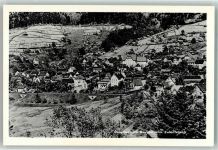 76596 W7564 Gausbach - im Murgtal vom Eulenfelsen
