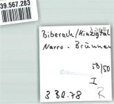 77781 W7616 Biberach , Baden FOTO KEINE AK Ort handschriftlich Narro-Brunnen Auto Oldtimer