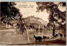 Toledo - Ziege