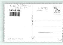 72250 W7290 Zwieselberg , Württ - Schwarzwaldgasthaus Auerhahn