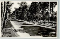 3734 Den Dolder 1951 Foto AK Dolderseweg