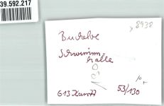 86807 W8938 Buchloe FOTO KEINE AK Foto Original aus Archiv eines Ansichtskartenverlags Schwimmhalle Ort handschriftlich