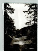 42929 W5632 Dhünn FOTO KEINE AK Ort handschriftlich Foto Original aus Archiv eines Ansichtskartenverlags