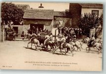 13460 Saintes-Maries-de-la-Mer