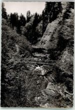 88239 W7988 Weiler im Allgäu FOTO KEINE AK Hausbachklamm Ort handschriftlich Foto Original aus Archiv eines Ansichtskartenverlags