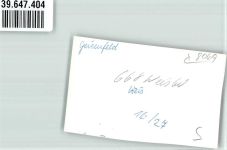 85290 W8069 Geisenfeld FOTO KEINE AK Rathaus Foto Orginal aus Archiv eines Ansichtskartenverlags Ort handschriftlich
