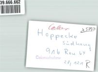 59929 W5790 Hoppecke FOTO KEINE AK Foto Original aus Archiv eines Ansichtskartenverlags Ort handschriftlich