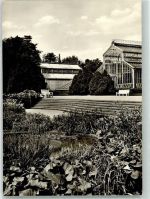 10115 W1000 Dahlem - Botanischer Garten Engler Terrasse Schmuckanlage