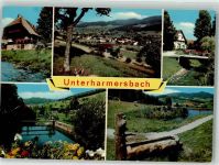 77736 W7615 Unterharmersbach Foto AK Schwarzwaldhaus Brunnen Brücke Blumen