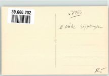 78354 W7767 Sipplingen Foto AK Ort handschriftlich