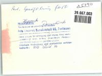 59929 W5790 Hoppecke FOTO KEINE AK Foto Original aus Archiv eines Ansichtskartenverlags Ort handschriftlich