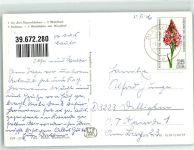 99444 O5304 Blankenhain , Thür Foto AK Rasenbänke Waldschwimmbad Rathaus Waldhütte am Hirschruf Fotograf Fasch