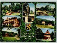 55566 W6553 Bad Sobernheim - Marumpark Denkmal Emanuel Felke