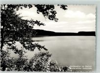 56244 W5419 Steinen , Westerw Foto AK Heideweiher Westerwälder Seenplatte