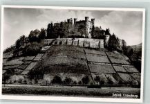 77799 W7601 Ortenberg , Baden - Schloss